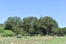 8228 US Hwy 377 (94)