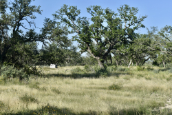 Cave Wells Ranch Tract 1 (8)