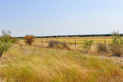 303 County Road 465 (11)