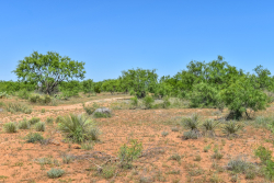 1025 E. FM 765 (25)
