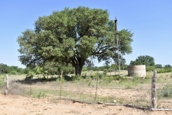 8228 US Hwy 377 (95)