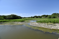 8228 US Hwy 377 (97)
