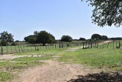 8228 US Hwy 377 (98)
