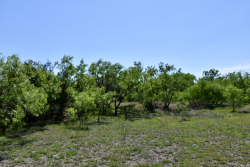 8228 US Hwy 377 (99)