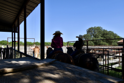 8228 US Hwy 377 (100)