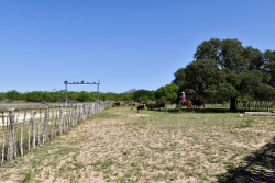 8228 US Hwy 377 (103)