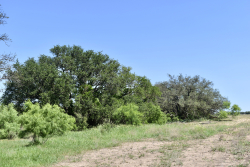 8228 US Hwy 377 (104)