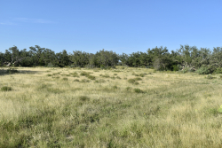 Cave Wells Ranch Tract 1 (9)