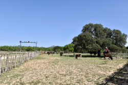 8228 US Hwy 377 (11)