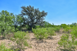 1025 E. FM 765 (26)