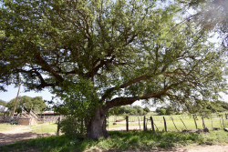 8228 US Hwy 377 (106)
