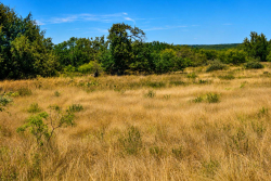 129 Big Buck Run Road (11)