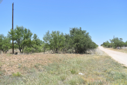 20 acres off of FM 765 and CR 300 (7)