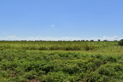 3255 CR 340 (28)