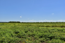 3255 CR 340 (29)
