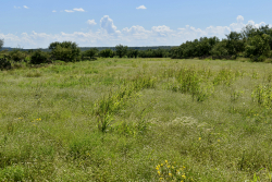 3255 CR 340 (31)