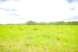 Lot 2 Meadows Ln. (2)