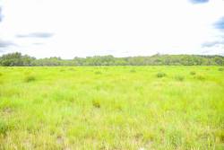 Lot 2 Meadows Ln. (5)