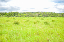 Lot 2 Meadows Ln.