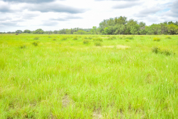 Lot 2 Meadows Ln. (4)