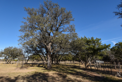 1358 Farm To Market Road 2315 (19)