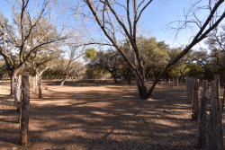 1358 Farm To Market Road 2315 (26)