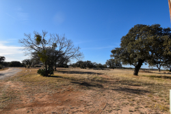 1358 Farm To Market Road 2315 (36)