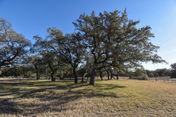 1358 Farm To Market Road 2315 (38)