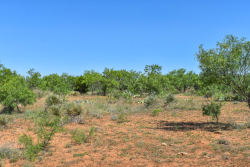 1025 E. FM 765 (28)
