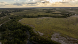 11595 West Farm To Market 2028 (38)