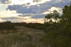 11595 West Farm To Market 2028 (51)