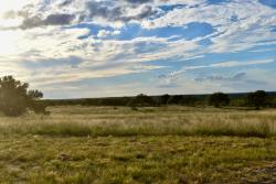 11595 West Farm To Market 2028 (52)