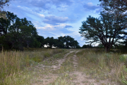 11595 West Farm To Market 2028 (53)