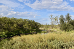 11595 West Farm To Market 2028 (55)