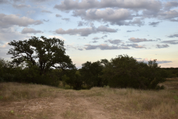 11595 West Farm To Market 2028 (58)