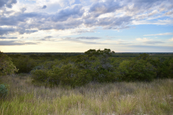 11595 West Farm To Market 2028 (41)