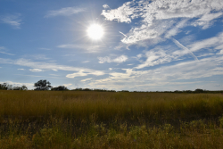 11595 West Farm To Market 2028 (59)