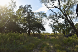 11595 West Farm To Market 2028 (60)