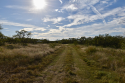 11595 West Farm To Market 2028 (61)