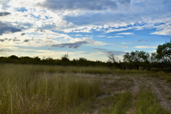 11595 West Farm To Market 2028 (64)