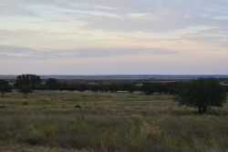 11595 West Farm To Market 2028 (66)