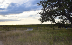 11595 West Farm To Market 2028 (68)