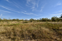 11595 West Farm To Market 2028 (69)