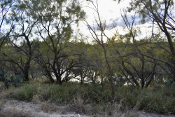 11595 West Farm To Market 2028 (71)