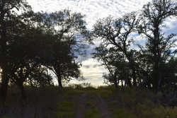 11595 West Farm To Market 2028 (72)