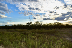 11595 West Farm To Market 2028 (73)