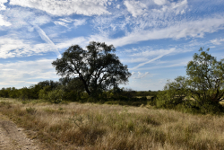 11595 West Farm To Market 2028 (74)