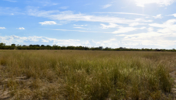 11595 West Farm To Market 2028 (75)