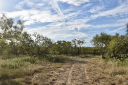 11595 West Farm To Market 2028 (76)