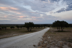 11595 West Farm To Market 2028 (77)